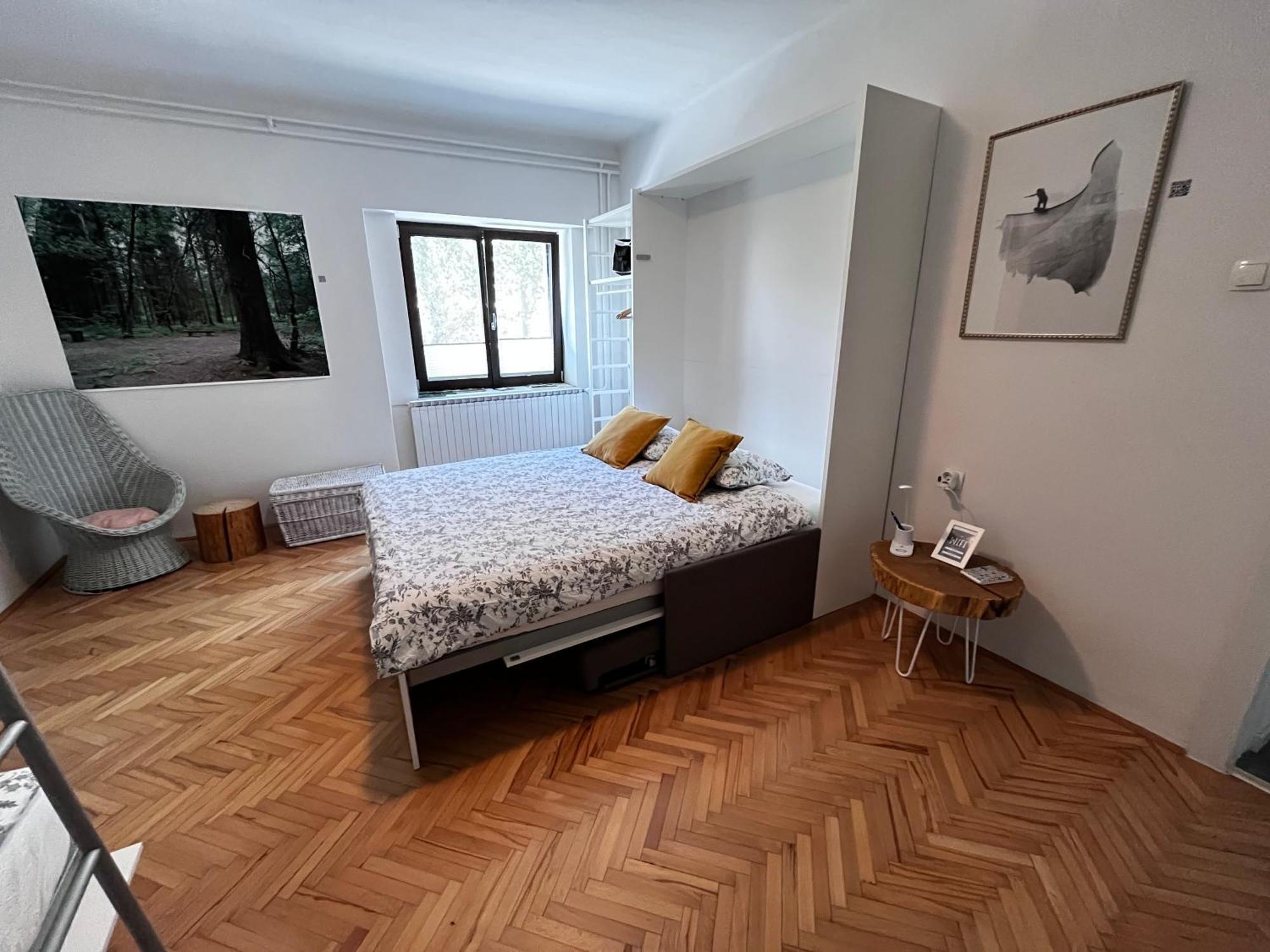 Apartment The Door Postojna